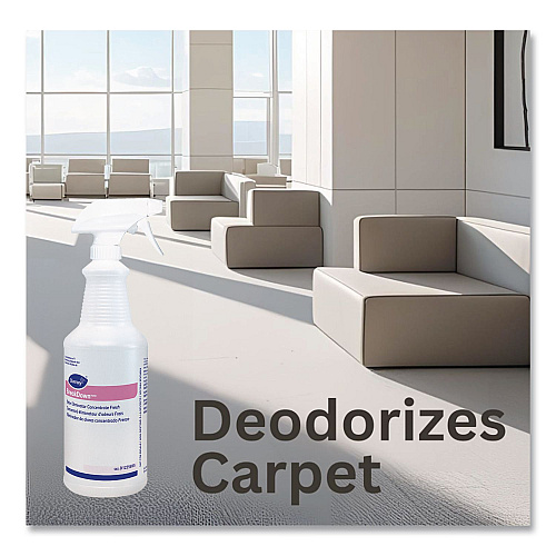 Diversey BreakDown Empty Spray Bottle, 32 oz, Clear, 12/Carton (D1225695)