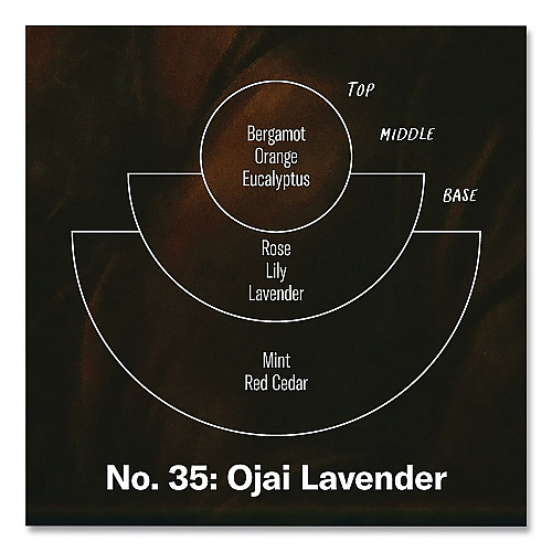 P.F. Candle Co. Ojai Lavender Soy Candle, 40 to 50 Hours Burn Time, 2.9 d x 3.5 h, 7.2 oz, Amber (SC35)
