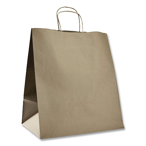 Karat Huntington Paper Shopping Bag, Rope Handles, Large Size, 13.4 x 9.3 x 15.9, Kraft, 200/Carton (FPSB130)