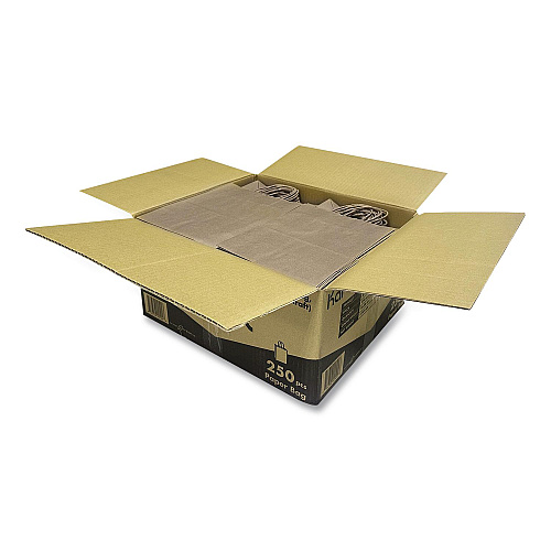 Karat Paper Shopping Bag, Rope Handles, Small Size, 8.1 x 4.5 x 10.6, Kraft, 250/Carton (FPSB100)