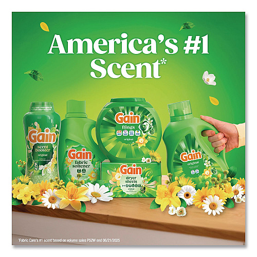 Liquid Laundry Detergent, Gain Original Scent, 81 oz Pour Bottle, 4/Carton (22593)