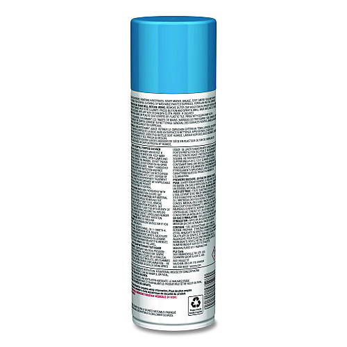 Sprayway PRO LINE Crazy Clean, Unscented, 19 oz Aerosol Spray, 12/Carton (SPRA57598)