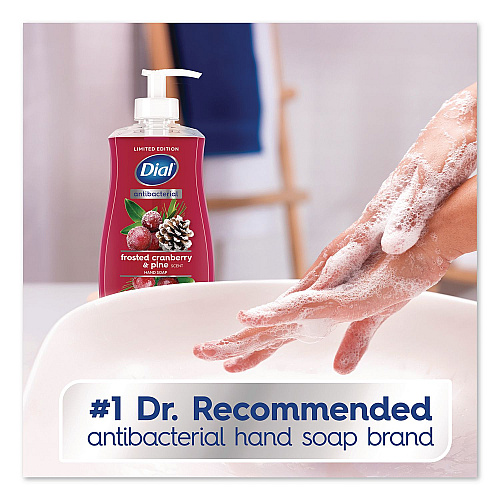 Dial Antibacterial Liquid Hand Soap, Limited Edition, Frosted Cranberry and Pine Scent, 11 oz Pump Bottle (1700035953)