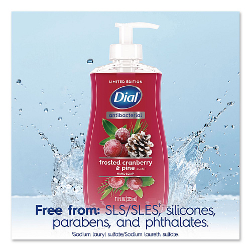 Dial Antibacterial Liquid Hand Soap, Limited Edition, Frosted Cranberry and Pine Scent, 11 oz Pump Bottle (1700035953)