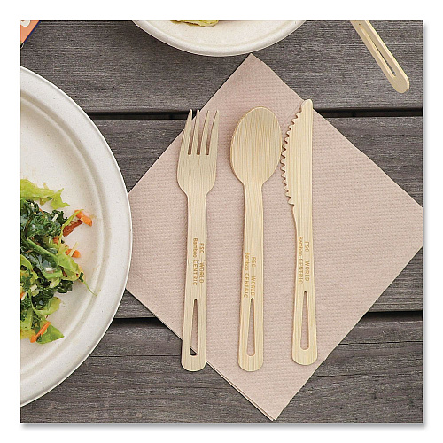 World Centric Bamboo Cutlery, Fork/Knife/Spoon, Paper, Natural, 24/Pack (ASBBR)