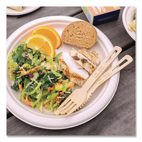 World Centric Bamboo Cutlery, Fork/Knife/Spoon, Paper, Natural, 24/Pack (ASBBR)