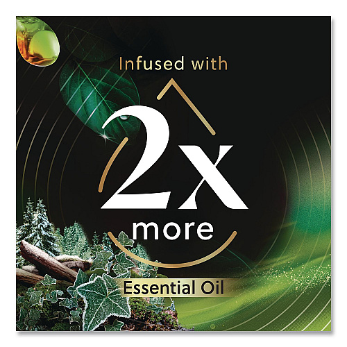 Air Wick Vibrant Scented Oil Warmer Refill, Limited Edition, Winter Woods and Frosted Ivy, 0.67 oz, 2/Pack (6233803463)