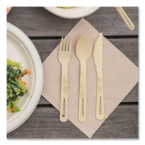 World Centric Bamboo Cutlery, Medium Heavyweigh, Spoon, Paper, Natural, 24/Pack (SPBBR)