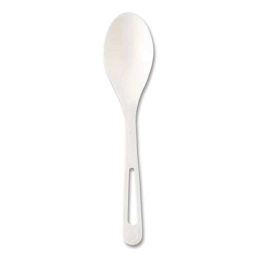 World Centric TPLA Cutlery, Medium Heavyweight, Spoon, Plastic, Light Beige, 24/Pack (SPPSR)
