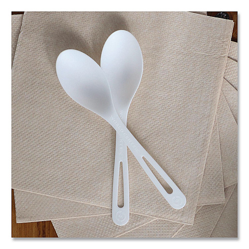 World Centric TPLA Cutlery, Medium Heavyweight, Spoon, Plastic, Light Beige, 24/Pack (SPPSR)