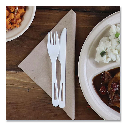 World Centric TPLA Cutlery, Medium Heavyweight, Fork, Plastic, Light Beige, 24/Pack (FOPSR)