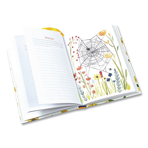 Chronicle Books Guided Journal: A Life of Gratitude by Lori Roberts, Yellow Cover, (224) 7.25 x 5.37 Sheets (978145216431)