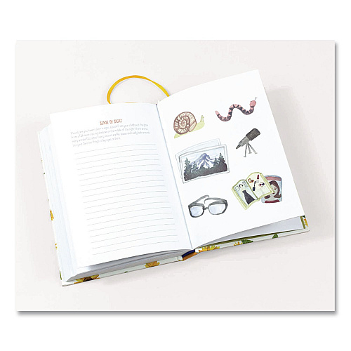 Chronicle Books Guided Journal: A Life of Gratitude by Lori Roberts, Yellow Cover, (224) 7.25 x 5.37 Sheets (978145216431)