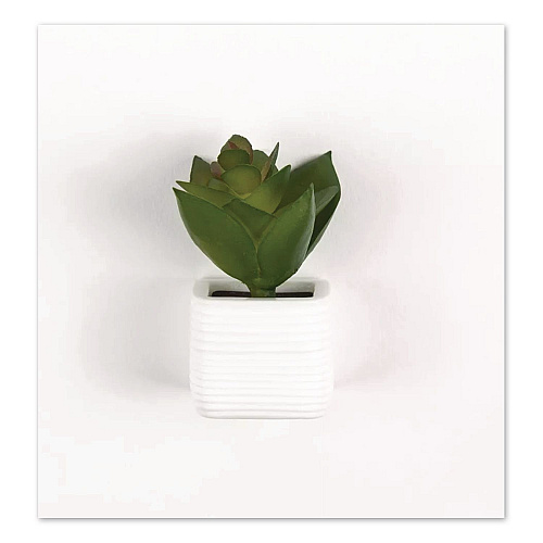 U Brands Mini Succulent Fashion Magnet Set, Assorted Colors/3 Designs, 12/Pack (4943U0624)