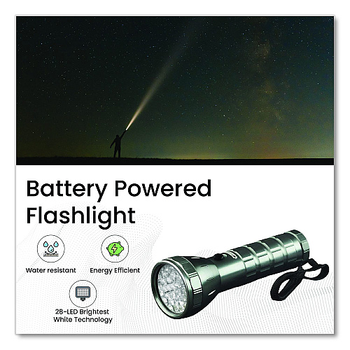 GoGreen Power 28 LED Professional Flashlight, 3 AAA Batteries (Included), Black/Silver (GG11324SV)