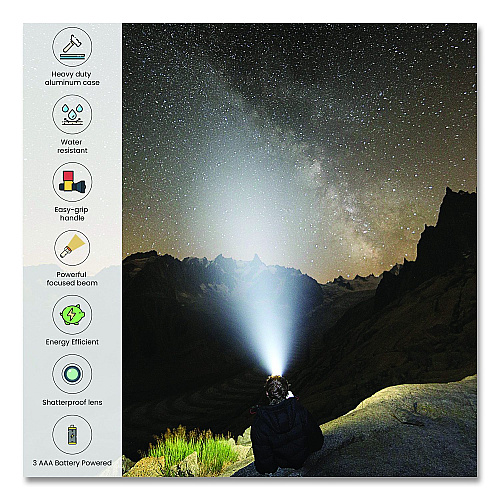 GoGreen Power 28 LED Professional Flashlight, 3 AAA Batteries (Included), Black/Silver (GG11324SV)