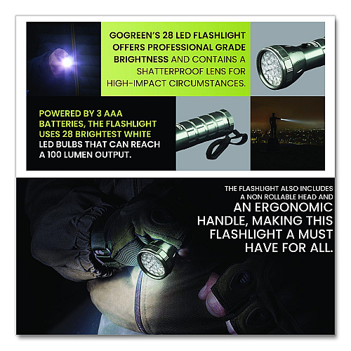 GoGreen Power 28 LED Professional Flashlight, 3 AAA Batteries (Included), Black/Silver (GG11324SV)