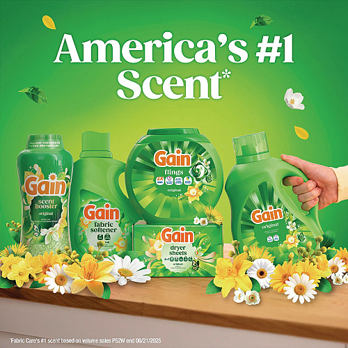 Liquid Laundry Detergent, Gain Original Scent, 19 Loads, 25 oz Bottle, 6/Carton (23233CT)