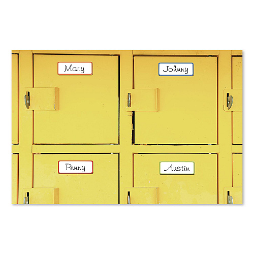 COSCO Magnetic Dry Erase Signs, 3.2 x 1.2, Assorted Colors, 24/Pack (098562)
