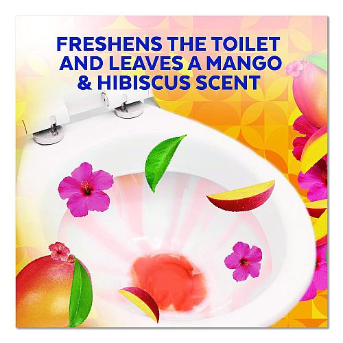 LYSOL Brand Clinging Gel Brand New Day Toilet Bowl Cleaner, Mango and Hibiscus, 24 oz Angle-Neck Bottle, 9/Carton (62018CT)