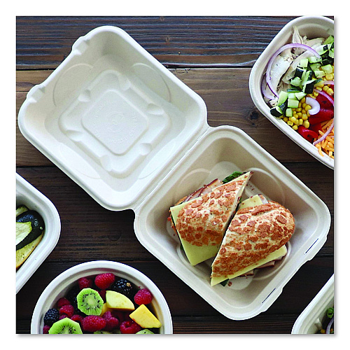 World Centric Fiber Hinged Takeout Containers, 8.2 x 8.8 x 2.9, Natural, Sugarcane Fiber, 300/Carton (TOSCU853LLF)