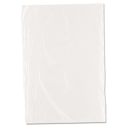 Inteplast Group Food Bags, 10" x 14", Clear, 1,000/Carton (PBR1014)