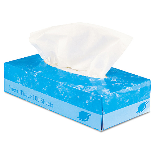 GEN&reg; Facial Tissue, 2-Ply, 100 Tissue Box, 30 Boxes (GENFACIAL30100)