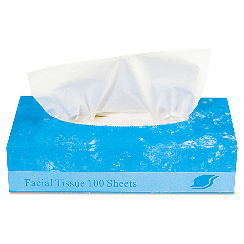 GEN&reg; Facial Tissue, 2-Ply, 100 Tissue Box, 30 Boxes (GENFACIAL30100)