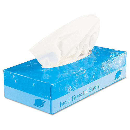 GEN&reg; Facial Tissue, 2-Ply, 100 Tissue Box, 30 Boxes (GENFACIAL30100)