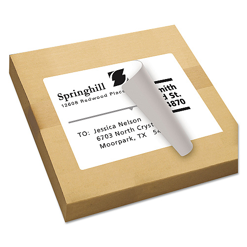 Avery Shipping Labels with TrueBlock Technology, Inkjet Printers, 8.5 x 11, White, 100/Box (8465)