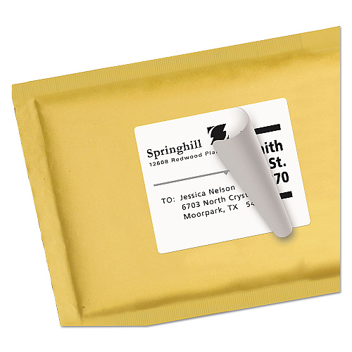 Avery Shipping Labels w/ TrueBlock Technology, Inkjet Printers, 3.33 x 4, White, 6/Sheet, 25 Sheets/Pack (8164)
