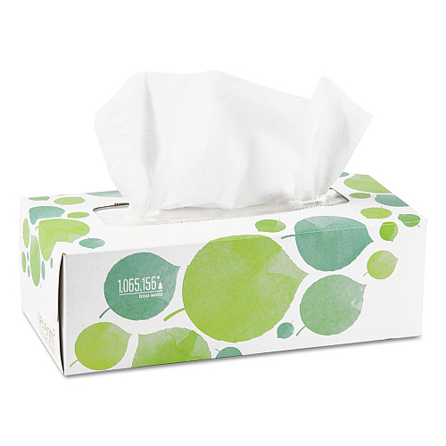 Seventh Generation 100% Recycled Facial Tissue, 2-Ply, 175 Sheets/Box, 36 Boxes/Carton (13712CT)