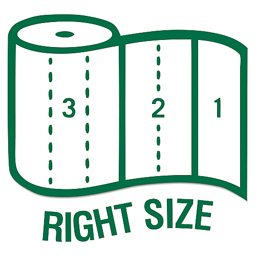 Seventh Generation 100% Recycled Paper Kitchen Towel Rolls, 2-Ply, 11 x 5.4, 156 Sheets/Roll, 24 Rolls/Carton (13722)