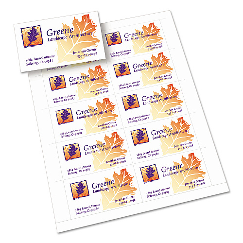 Avery True Print Clean Edge Business Cards, Inkjet, 2 x 3.5, White, 1,000 Cards, 10 Cards/Sheet, 100 Sheets/Box (8870)