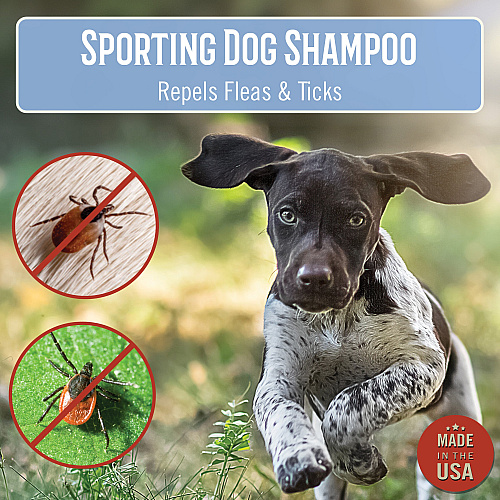 Mossy Oak Sporting Dog Shampoo, Woodsy Scent - 16 Oz Bottle (MO-00612)