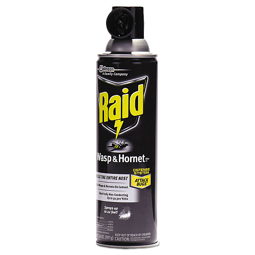 Raid Wasp and Hornet Killer, 14 oz Aerosol Spray, 12/Carton (668006)