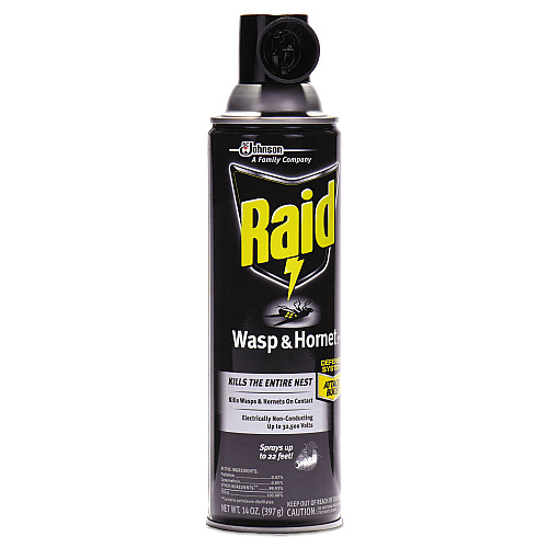 Raid Wasp and Hornet Killer, 14 oz Aerosol Spray, 12/Carton (668006)