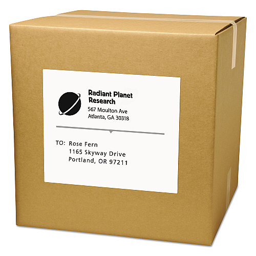 Avery Copier Mailing Labels, Copiers, 8.5 x 11, White, 100/Box (5353)