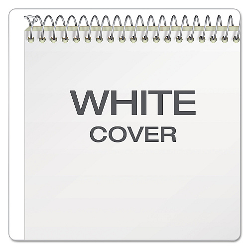Ampad Steno Pads, Gregg Rule, Tan Cover, 60 Green-Tint 6 x 9 Sheets (25270)