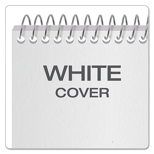 Earthwise by Ampad Recycled Reporter's Notepad, Gregg Rule, White Cover, 70 White 4 x 8 Sheets (25280)