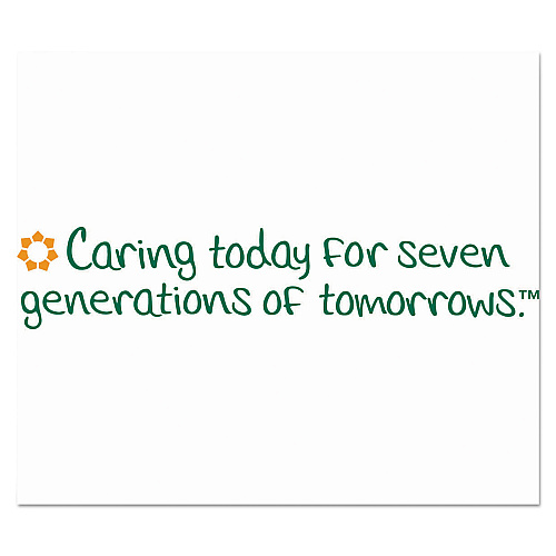 Seventh Generation Disinfectant Sprays, Eucalyptus/Spearmint/Thyme, 13.9 oz, Spray Bottle (22981EA)
