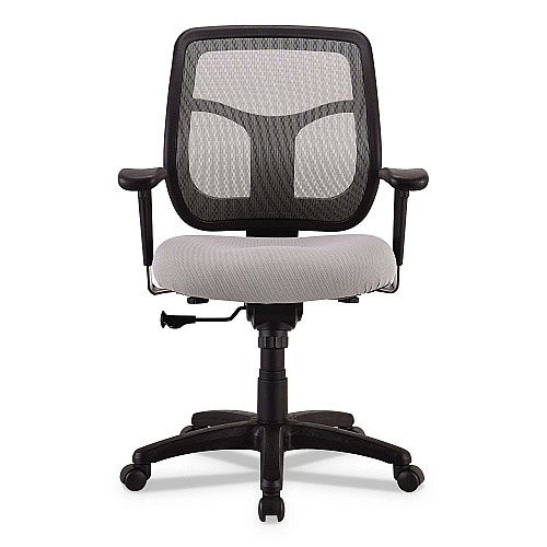 Eurotech Apollo Mid-Back Mesh Chair, 18.1" to 21.7" Seat Height, Silver Seat, Silver Back, Black Base (MT9400SR)