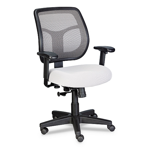 Eurotech Apollo Mid-Back Mesh Chair, 18.1" to 21.7" Seat Height, Silver Seat, Silver Back, Black Base (MT9400SR)
