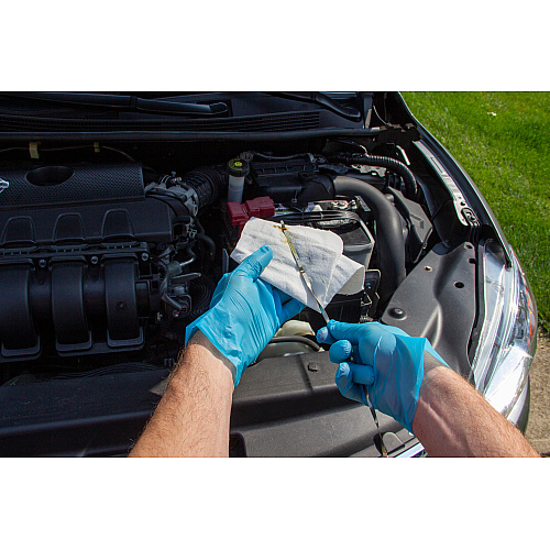 Safety Zone Polyethylene Stretch Gloves - Blue, Lrg - Case Of 2000 (GL-SP200BL)