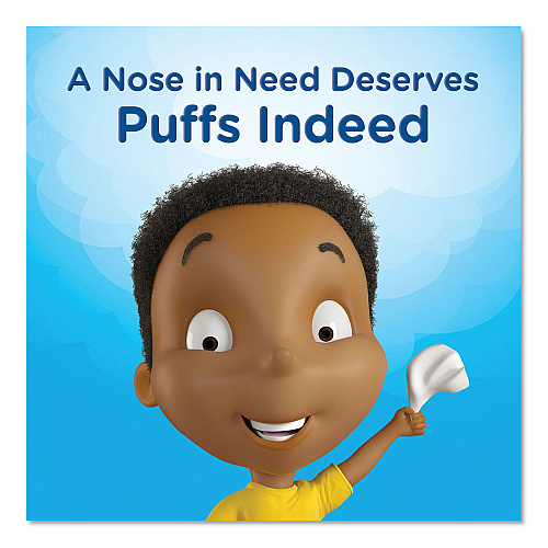Puffs White Facial Tissue, 2-Ply, White, 180 Sheets/Box, 3 Boxes/Pack (87615PK)