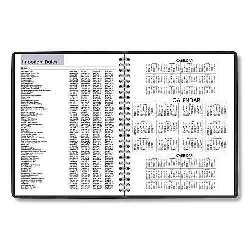 AT-A-GLANCE DayMinder Monthly Planner with Notes Column, Ruled Blocks, 8.75 x 7, Black Cover, 12-Month (Jan to Dec): 2026 (G40000)