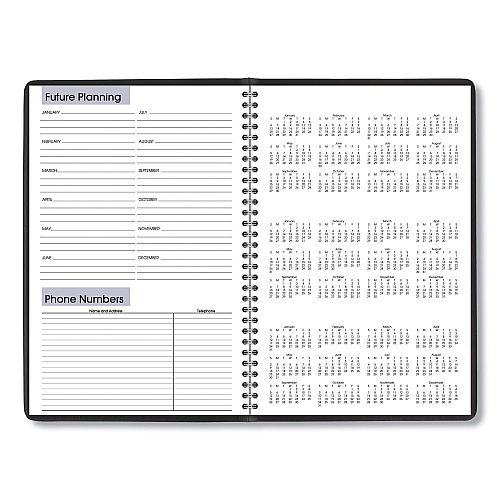 AT-A-GLANCE DayMinder Monthly Planner, Ruled Blocks, 12" x 8", Black Cover, 14-Month: Dec 2025 to Jan 2027 (G47000)