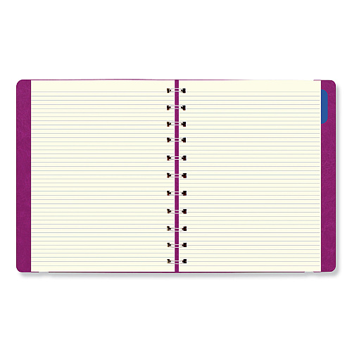 Filofax Soft Touch 17-Month Planner, 10.88 x 8.5, Fuchsia Cover, 17-Month: Aug 2025 to Dec 2026 (C1811003)