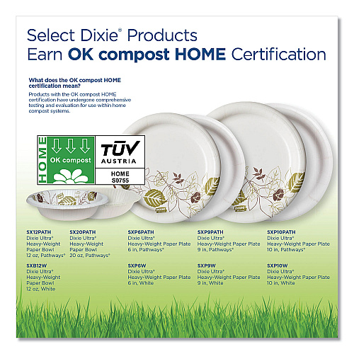 Dixie Pathways Soak Proof Shield Heavyweight Paper Plates, WiseSize, 8.5" dia, Green/Burgundy, 500/Carton (SXP9PATH)