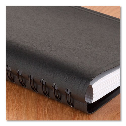AT-A-GLANCE Daily Appointment Book with 30-Minute Appointments, 8 x 5, Black Cover, 12-Month (Jan to Dec): 2026 (7020705)